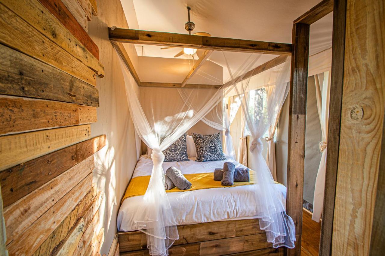 Mountain View Safari Lodge Hoedspruit Dış mekan fotoğraf