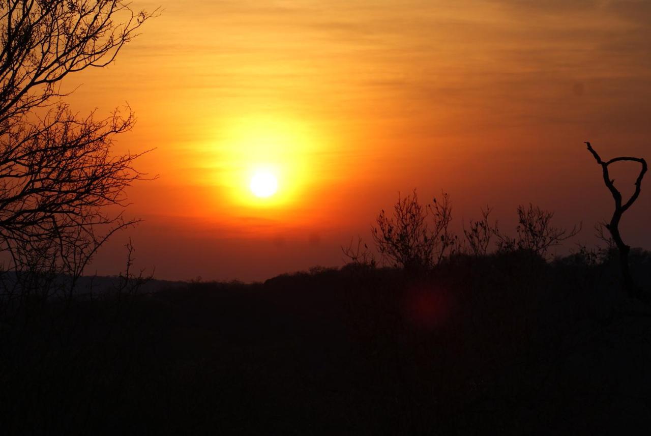 Mountain View Safari Lodge Hoedspruit Dış mekan fotoğraf